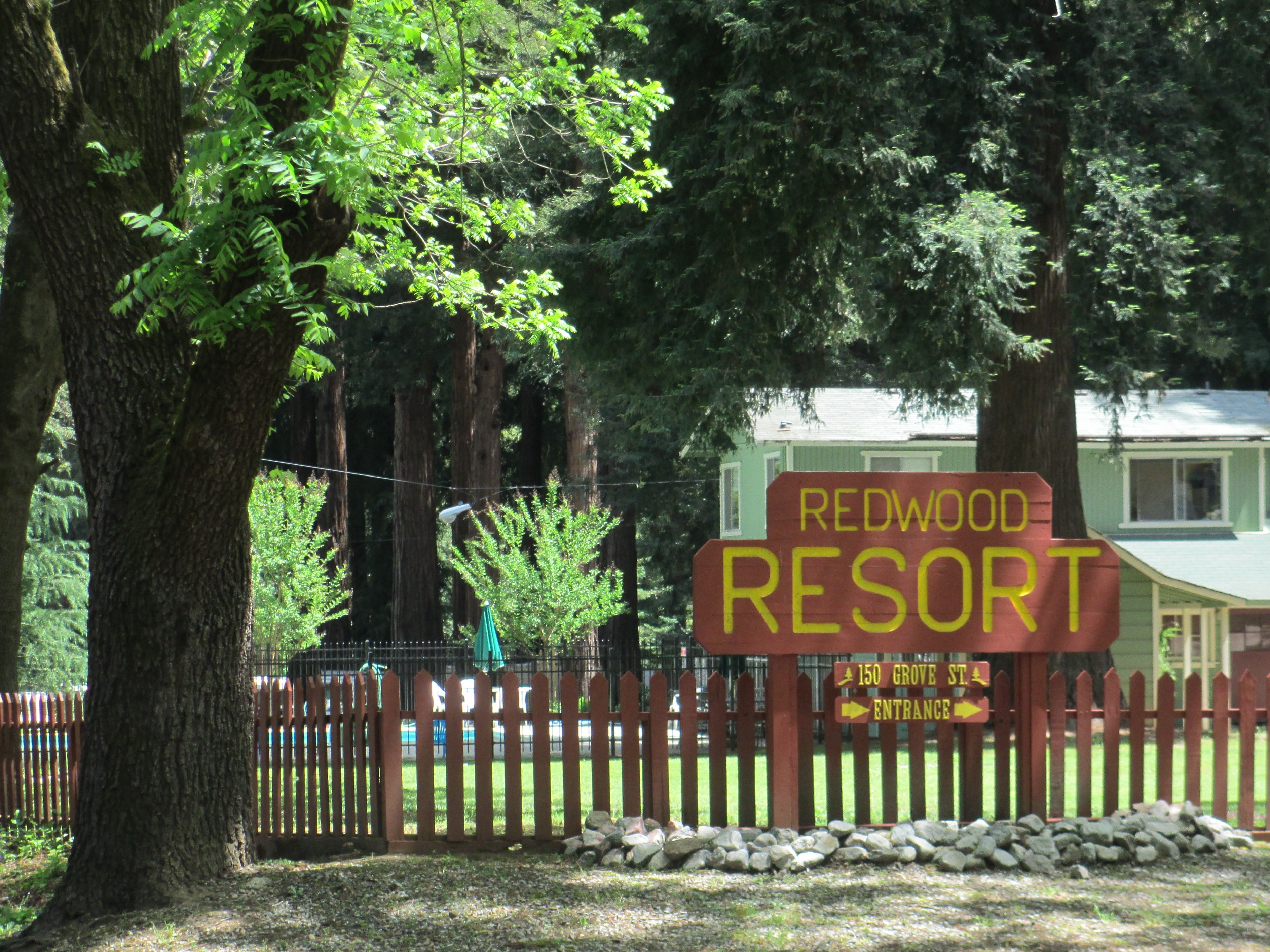 Redwood Resort RV Park's spacious sites surrounded by towering redwoods