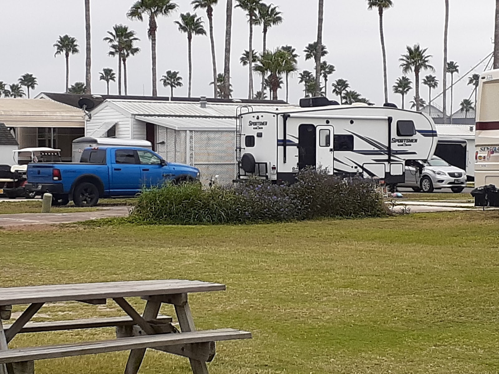Palm Shadows RV Park Pictures, Features & Amenities RVezy Campgrounds