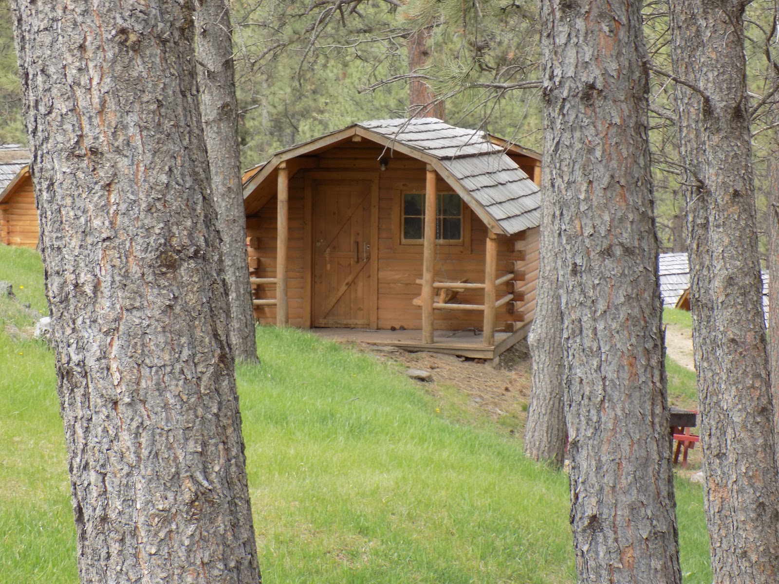 Custer Crazy Horse Campground with RV sites near iconic Black Hills attractions