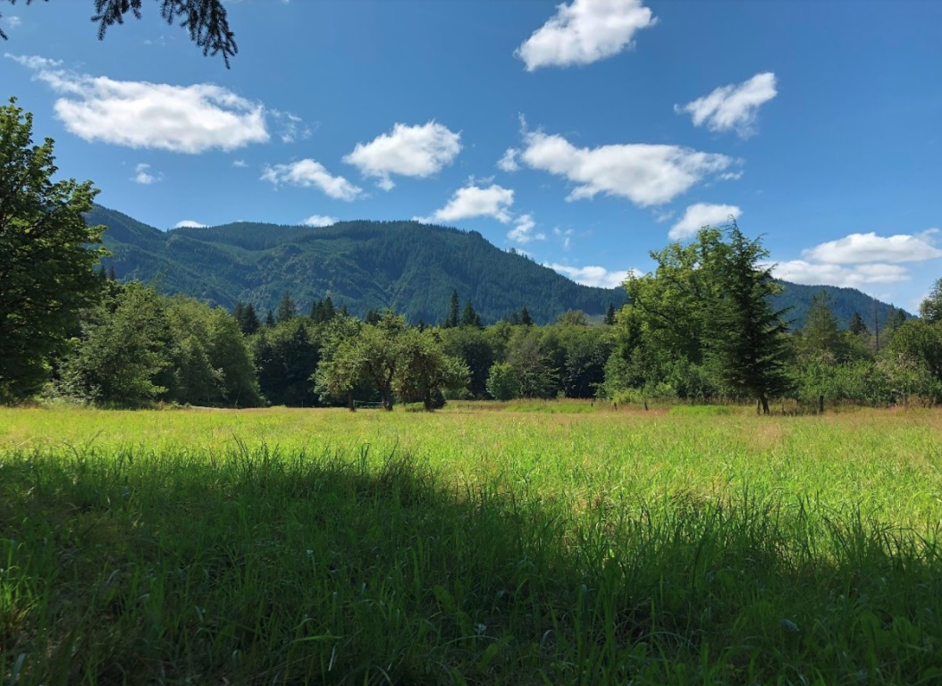 Elkcamp Eastcreek with natural setting