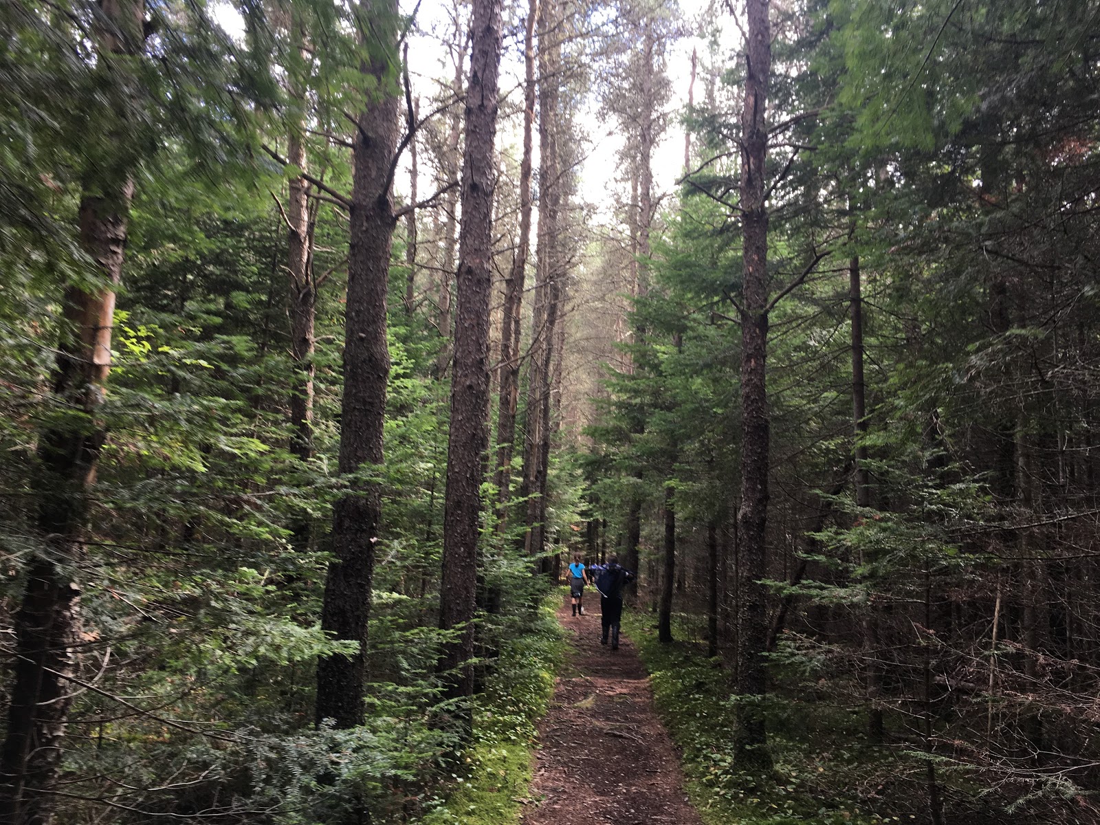 Domaine Desjardins campground near Saint-Faustin-Lac-Carré
