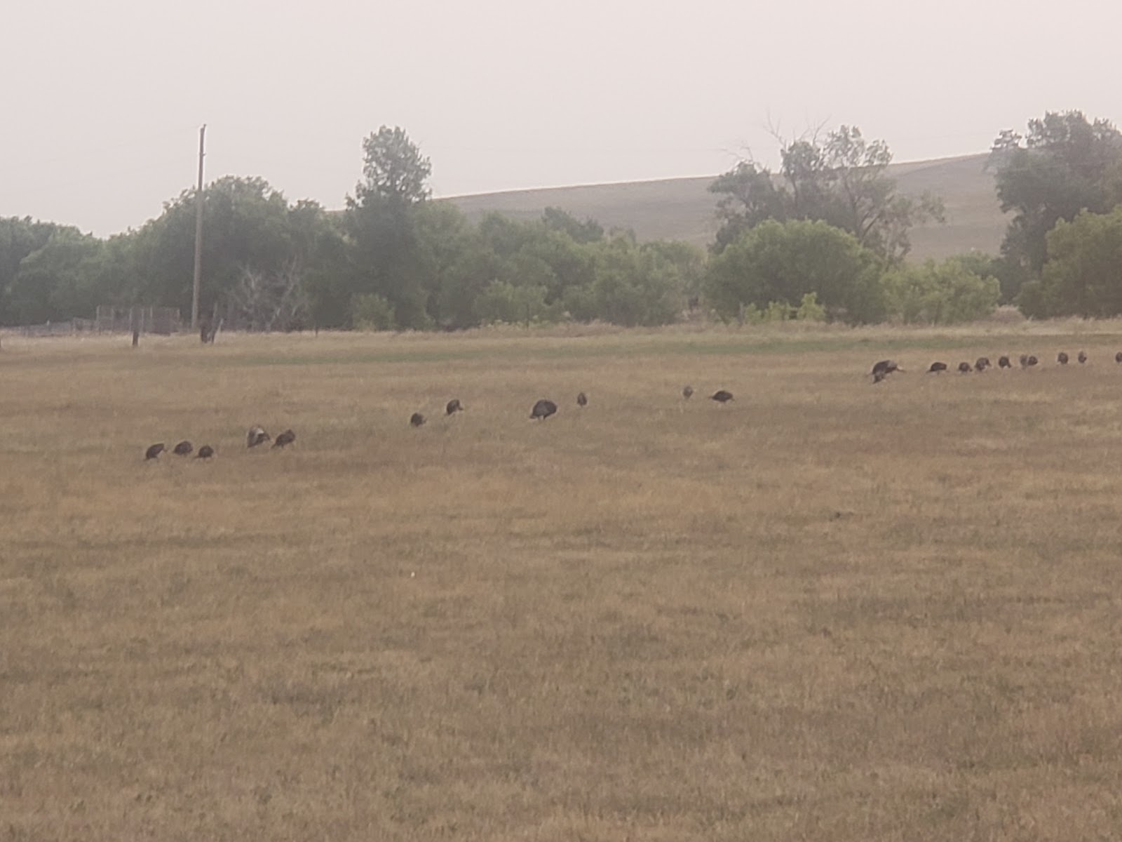 Lazy JD RV Park with spacious sites for large RVs