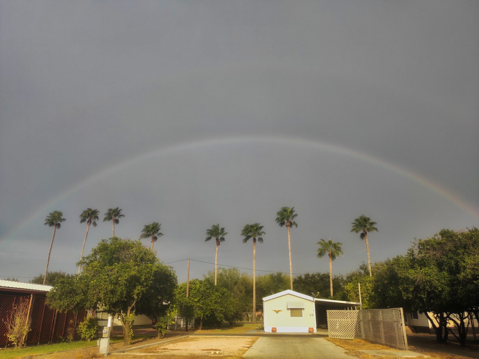 Orange Grove RV Trailer Park Pictures, Features & Amenities RVezy