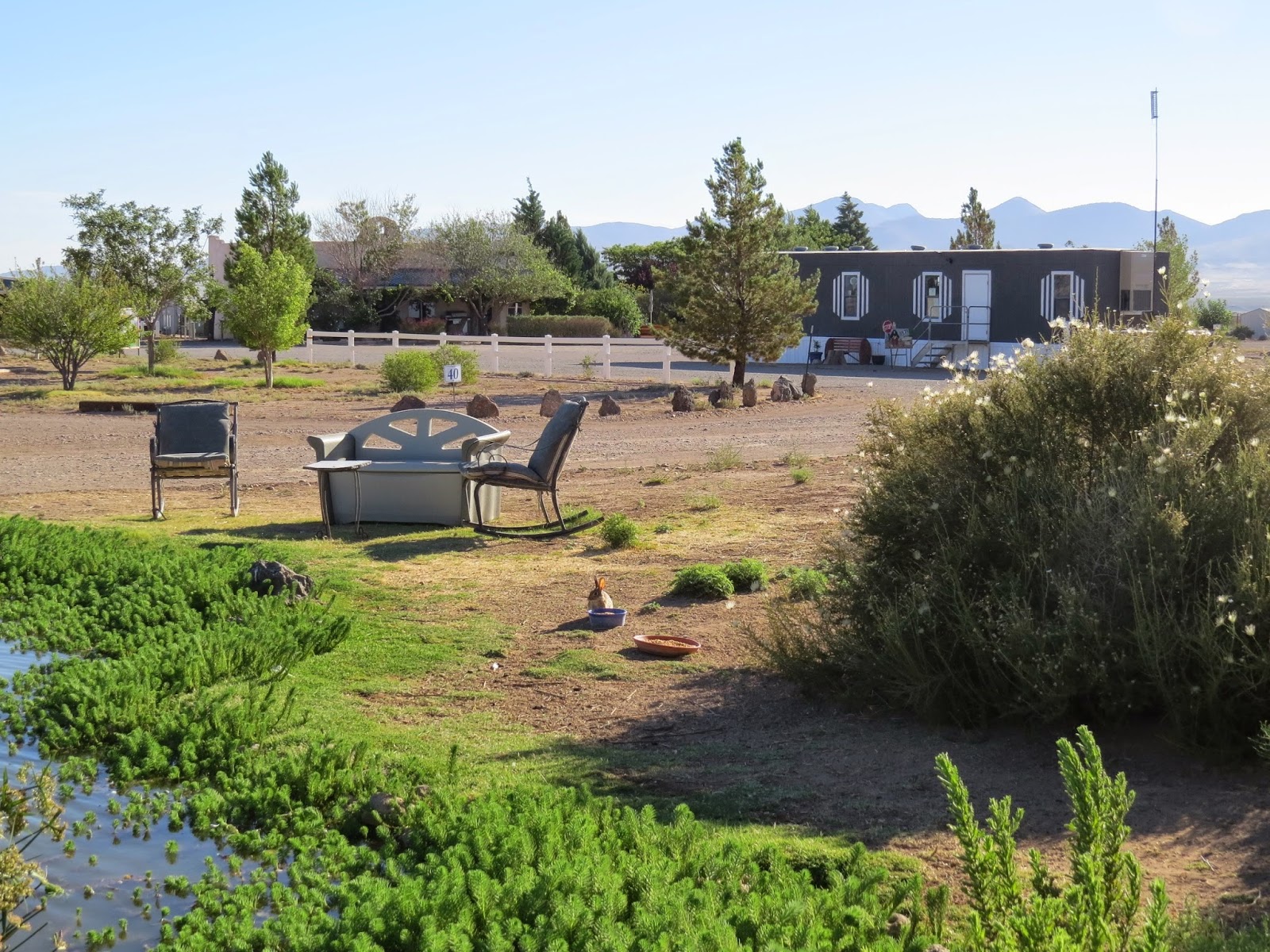 Rusty's RV Ranch - Pictures, Features & Amenities | RVezy Campgrounds