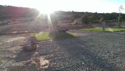 BNB Swiss RV Park in Cedar City