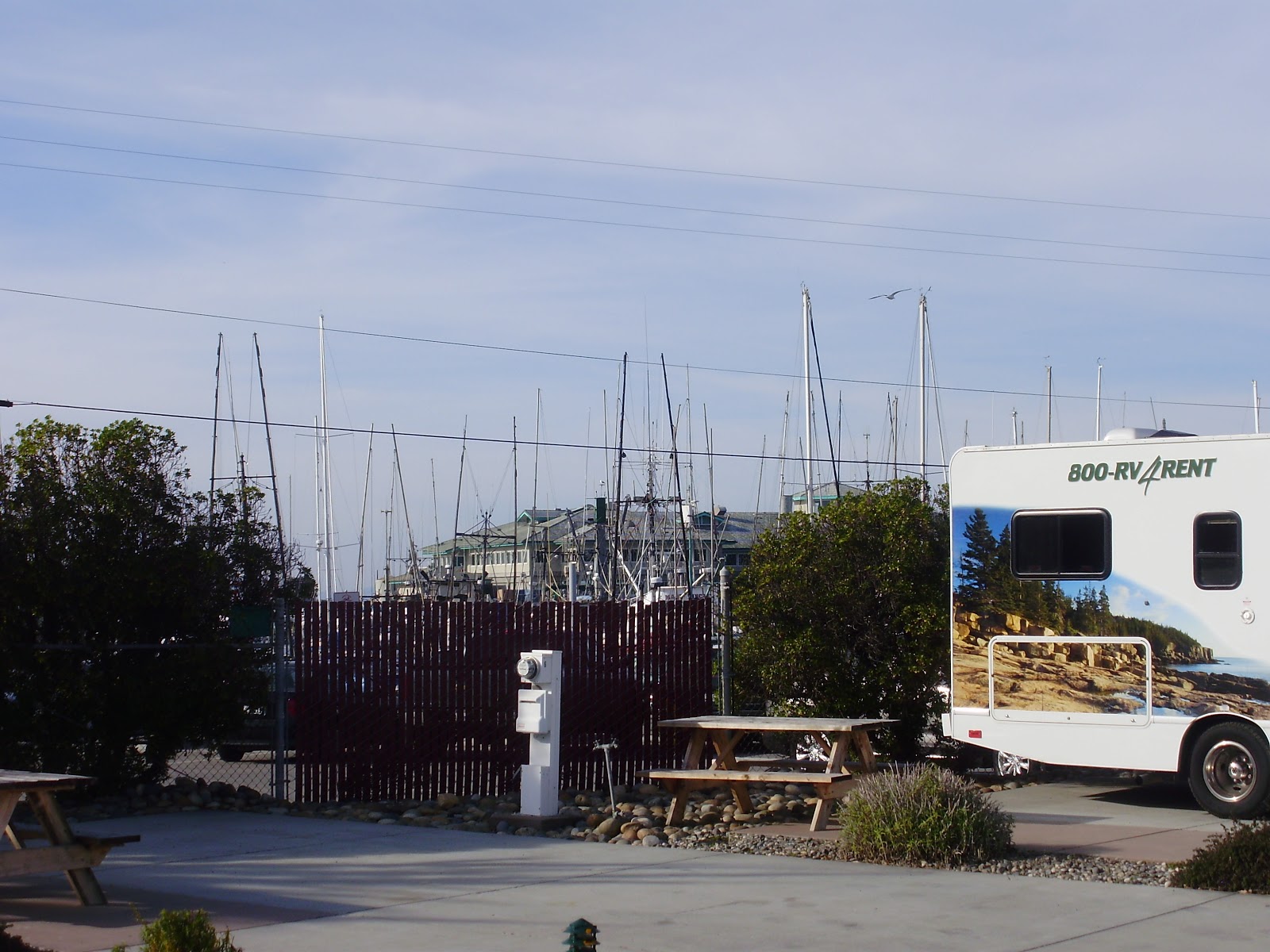 Moss Landing KOA Express's full-hookup sites near Monterey Bay