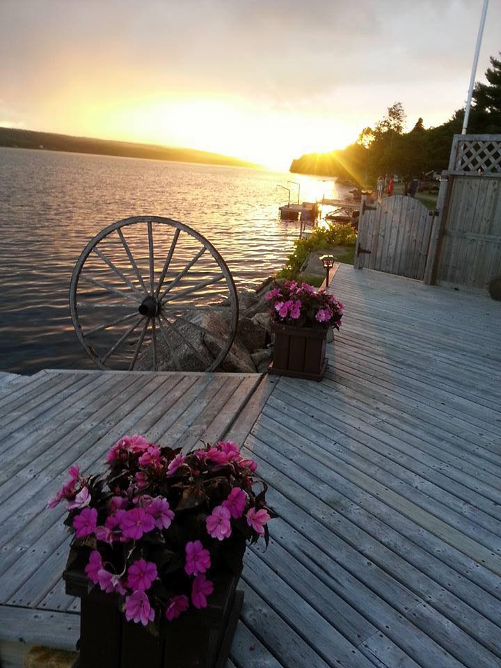 Great Bear Campground Pictures, Features & Amenities RVezy Campgrounds