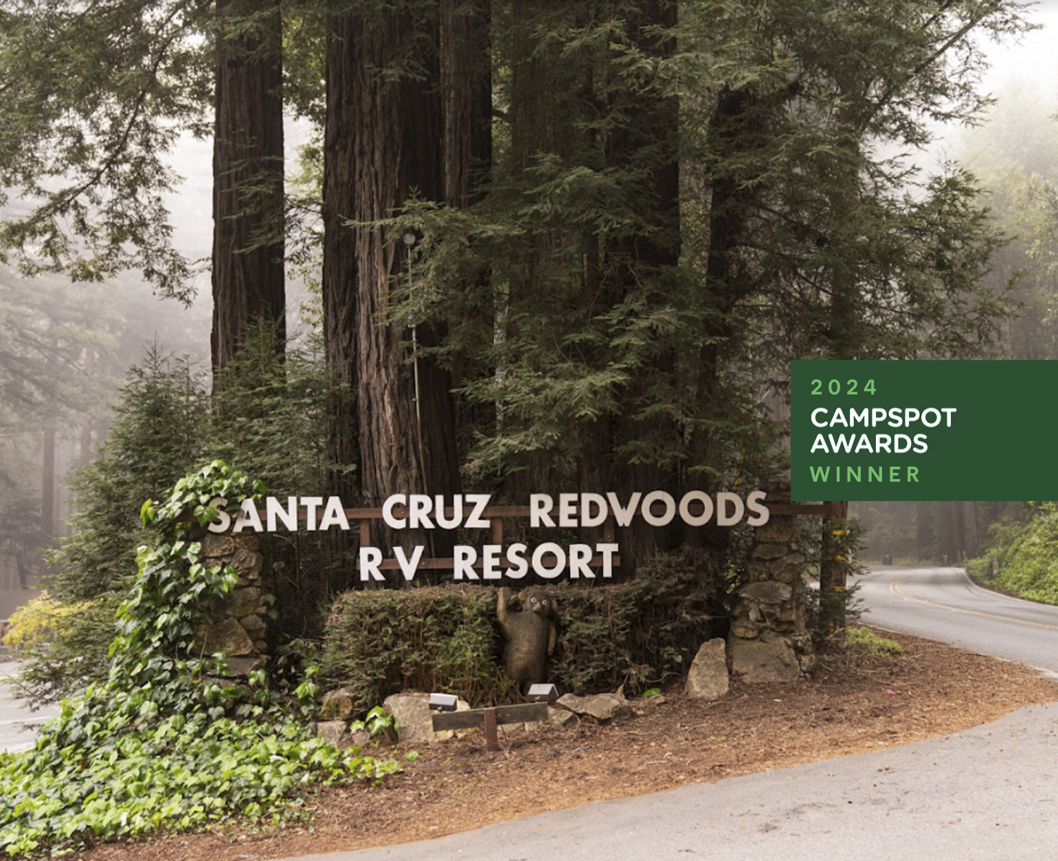 Santa Cruz Redwoods RV Resort's spacious sites nestled in old-growth redwood forest