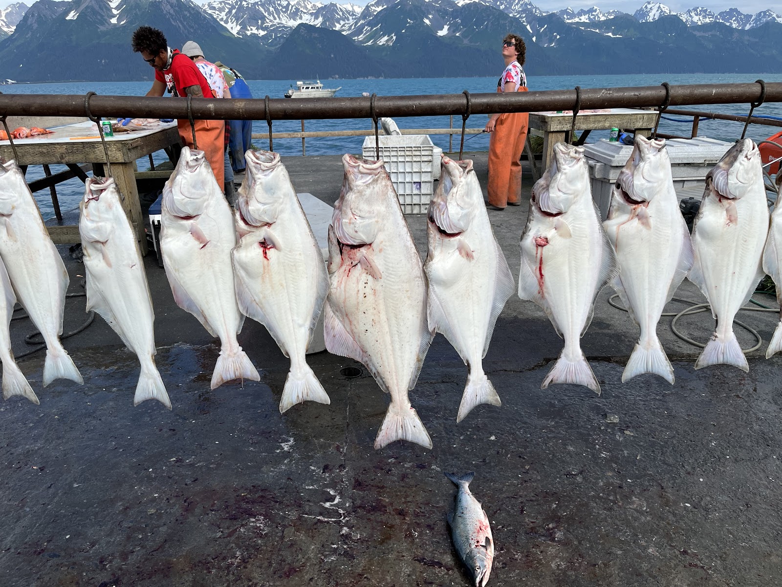 Millers Landing North Campground and RV Park - campground installations