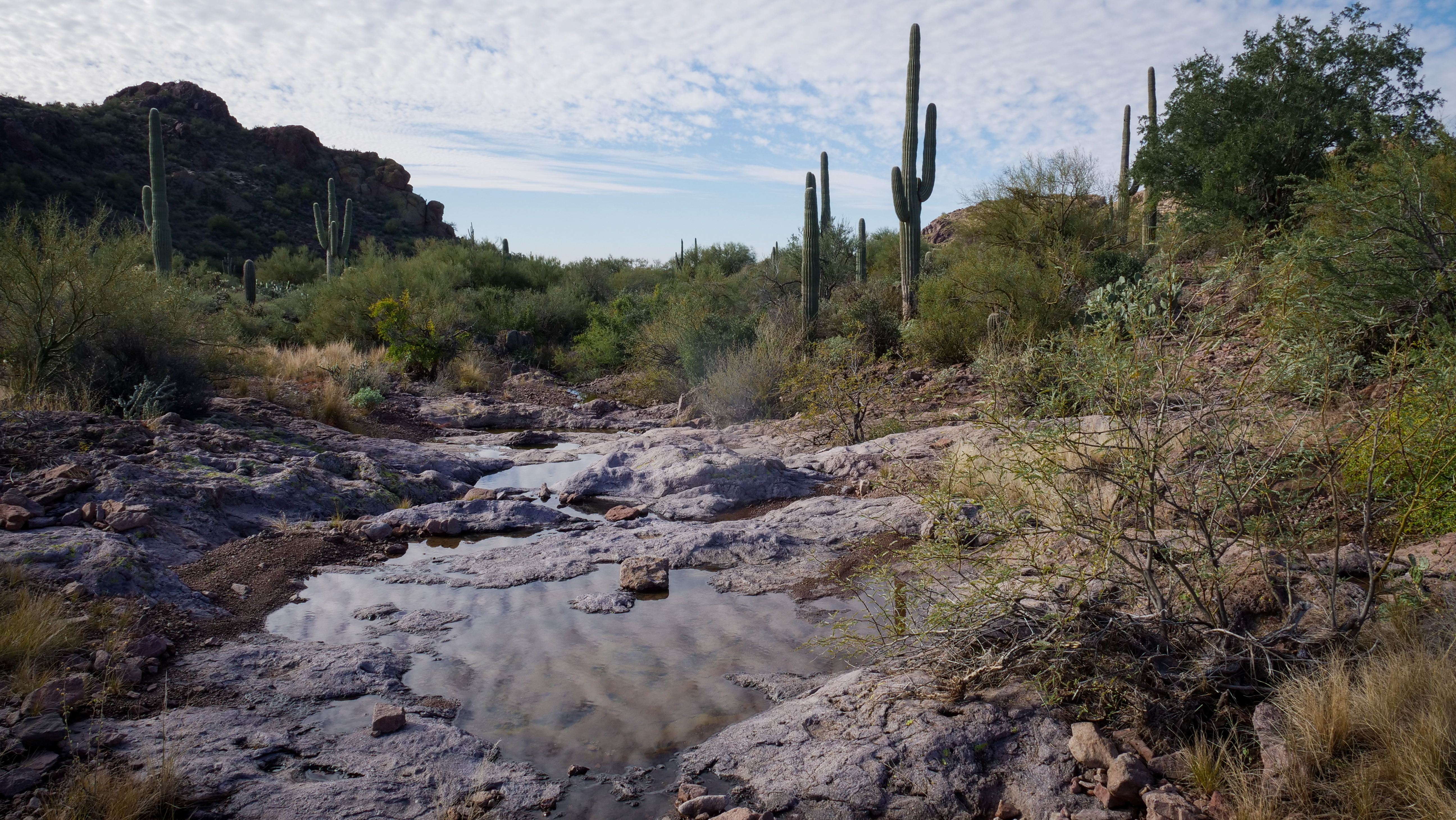 Paysage désertique de Peralta Regional Park