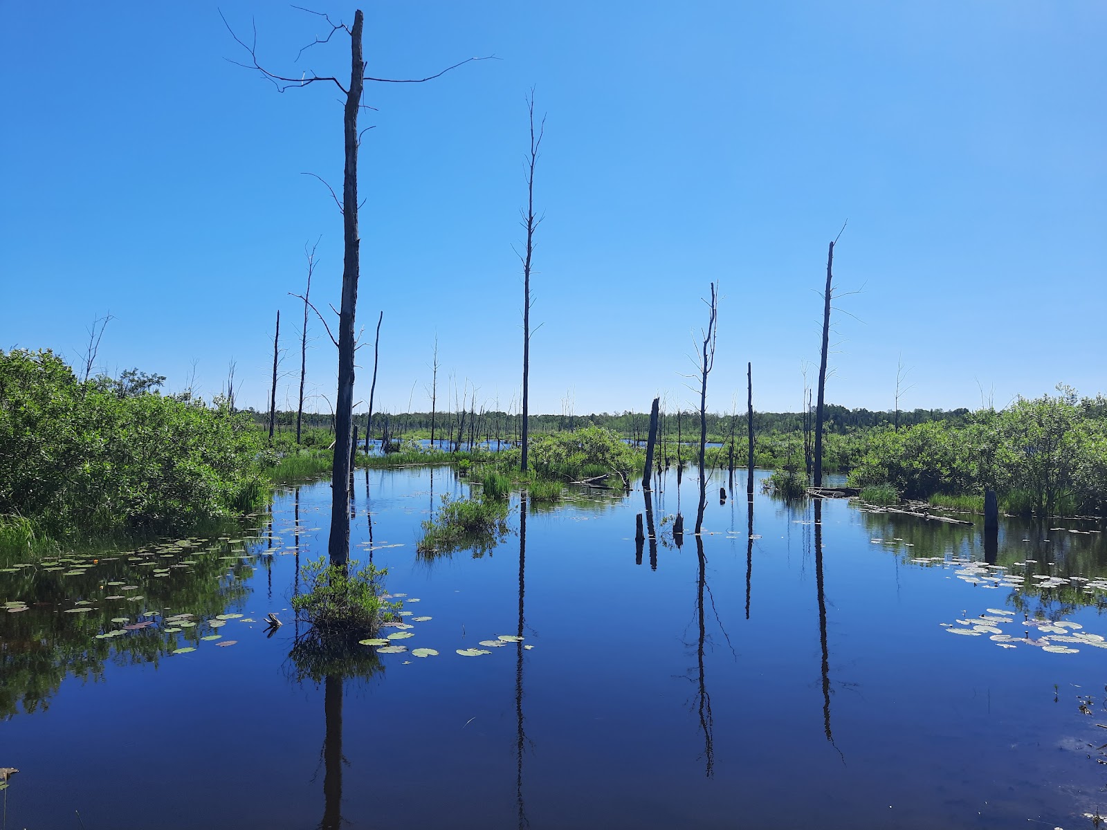 MacGregor Point Provincial Park Lake Huron beachfront