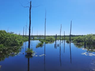 MacGregor Point Provincial Park