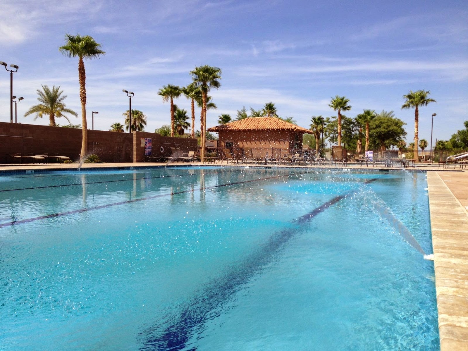 Del Pueblo RV Park and Resort photo 4