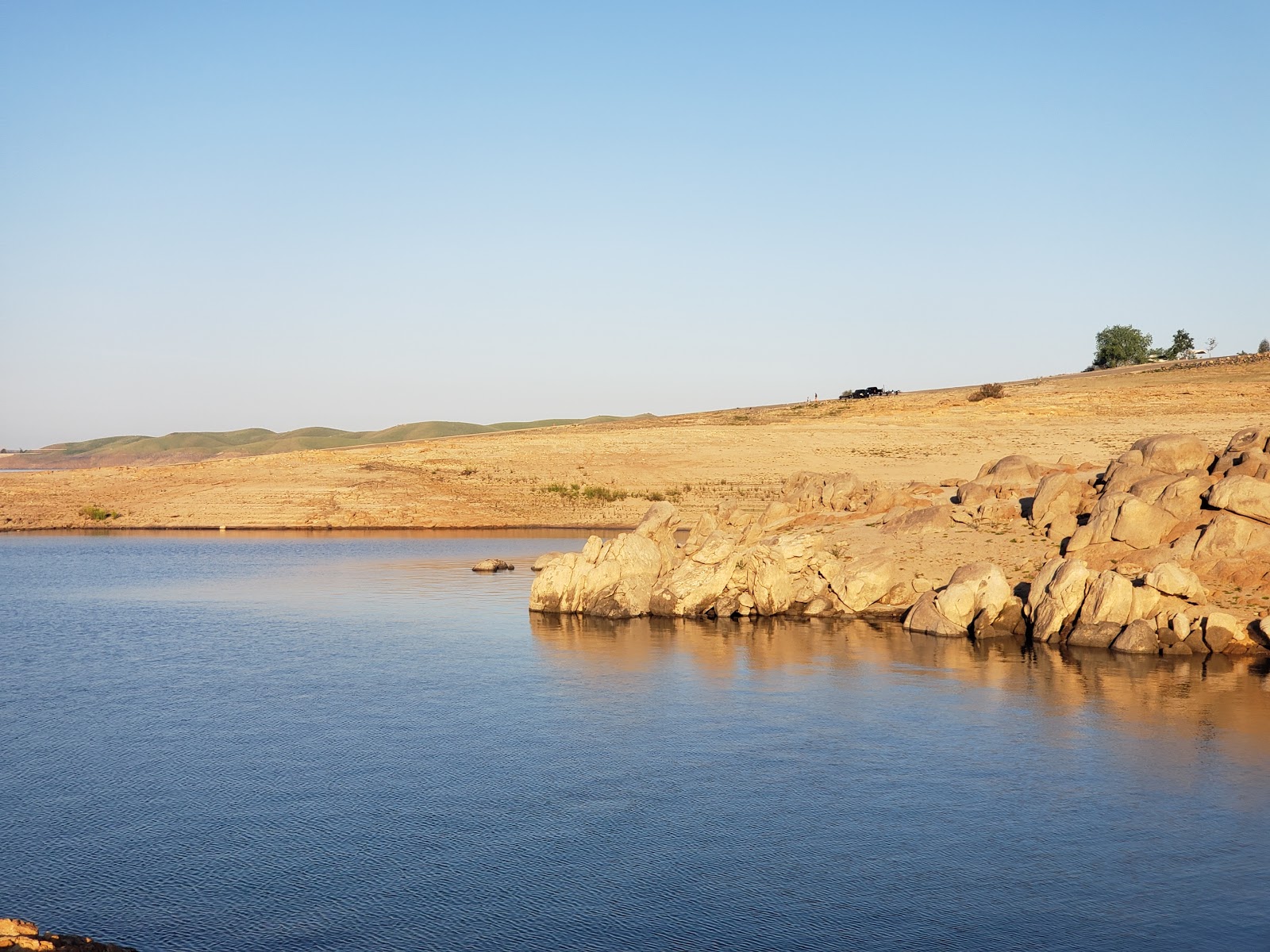 Meadows Valley Oak Millerton Lake State Recreation Area Pictures