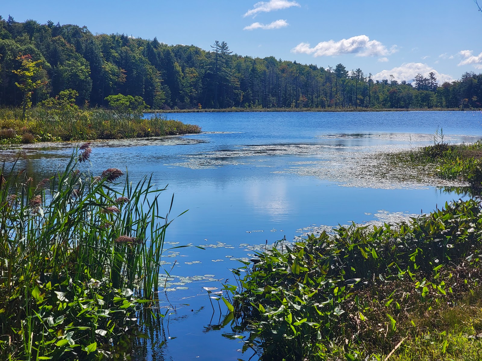 Bass Lake Resort main facility