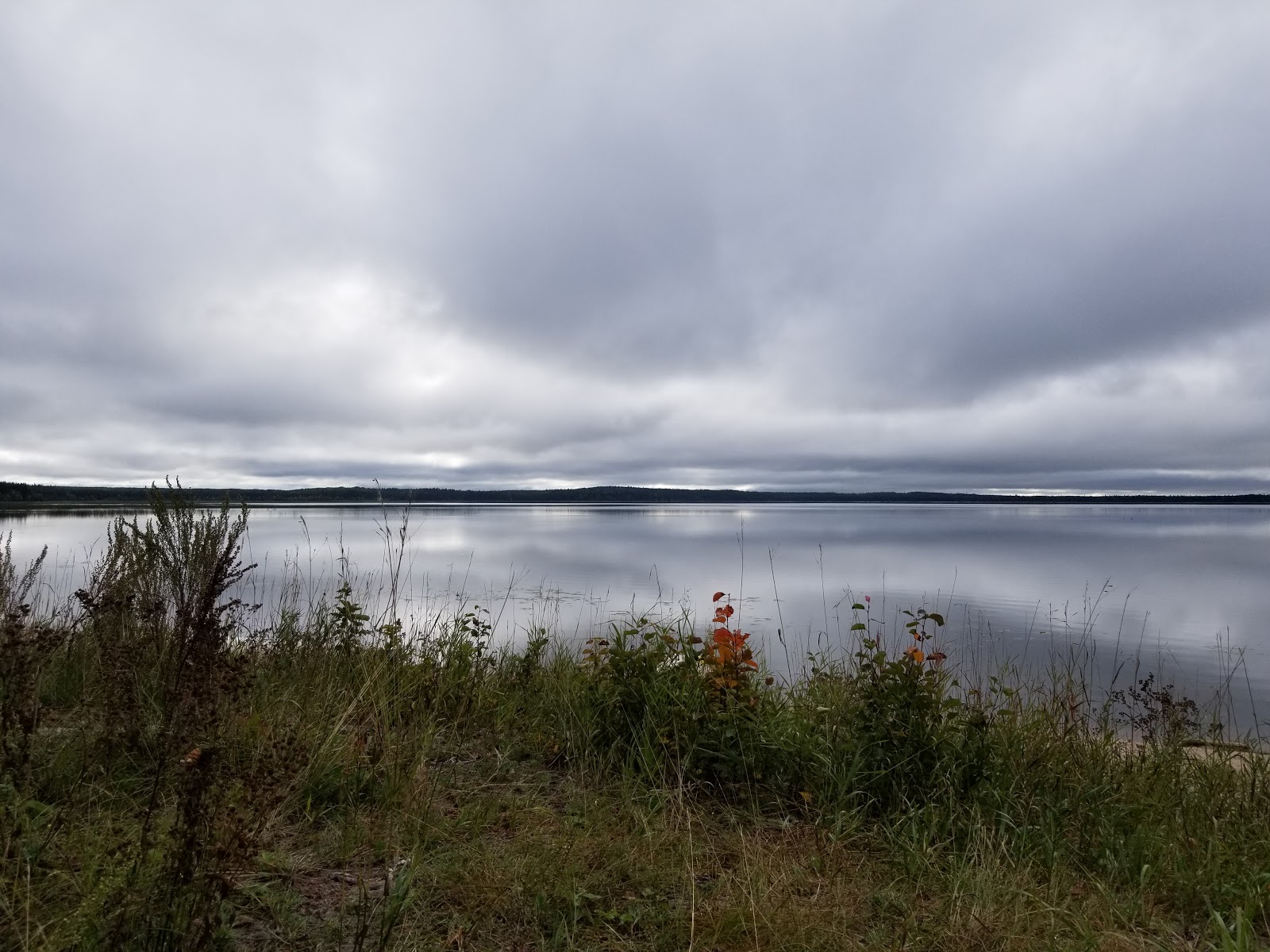 Red Deer campground forest sites in Prince Albert National Park