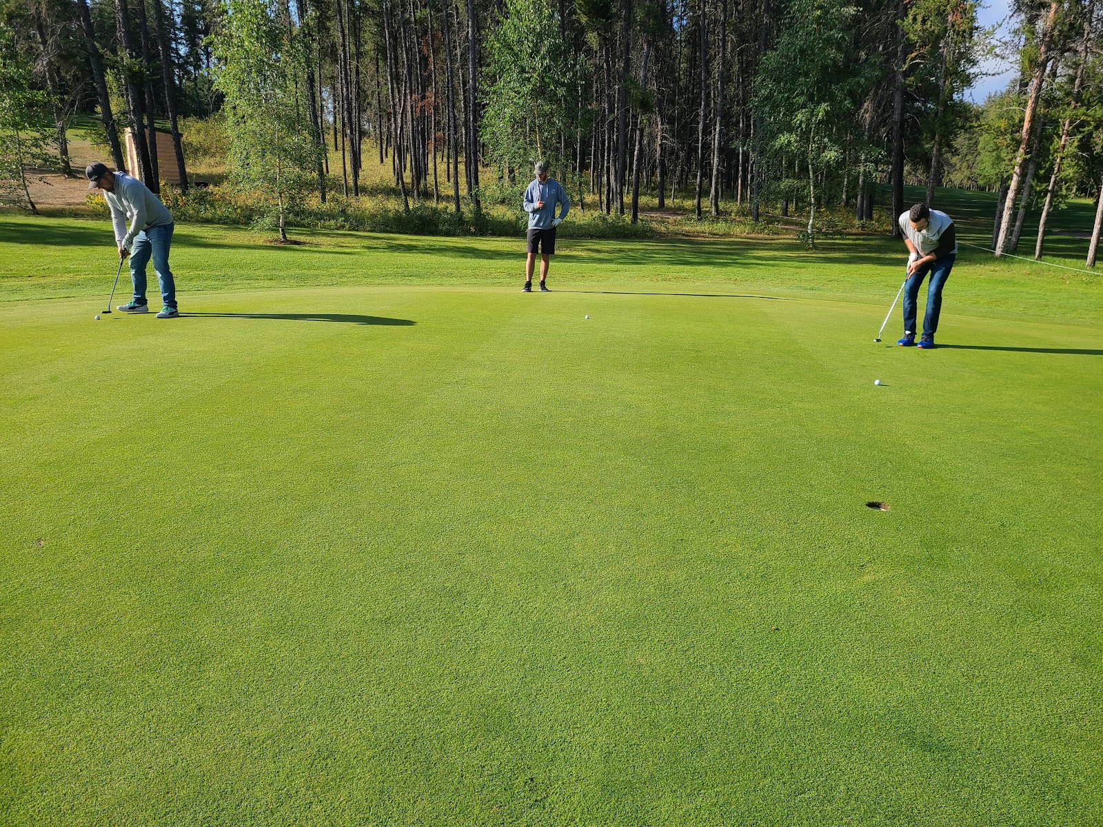 Canwood Regional Park camping area and facilities