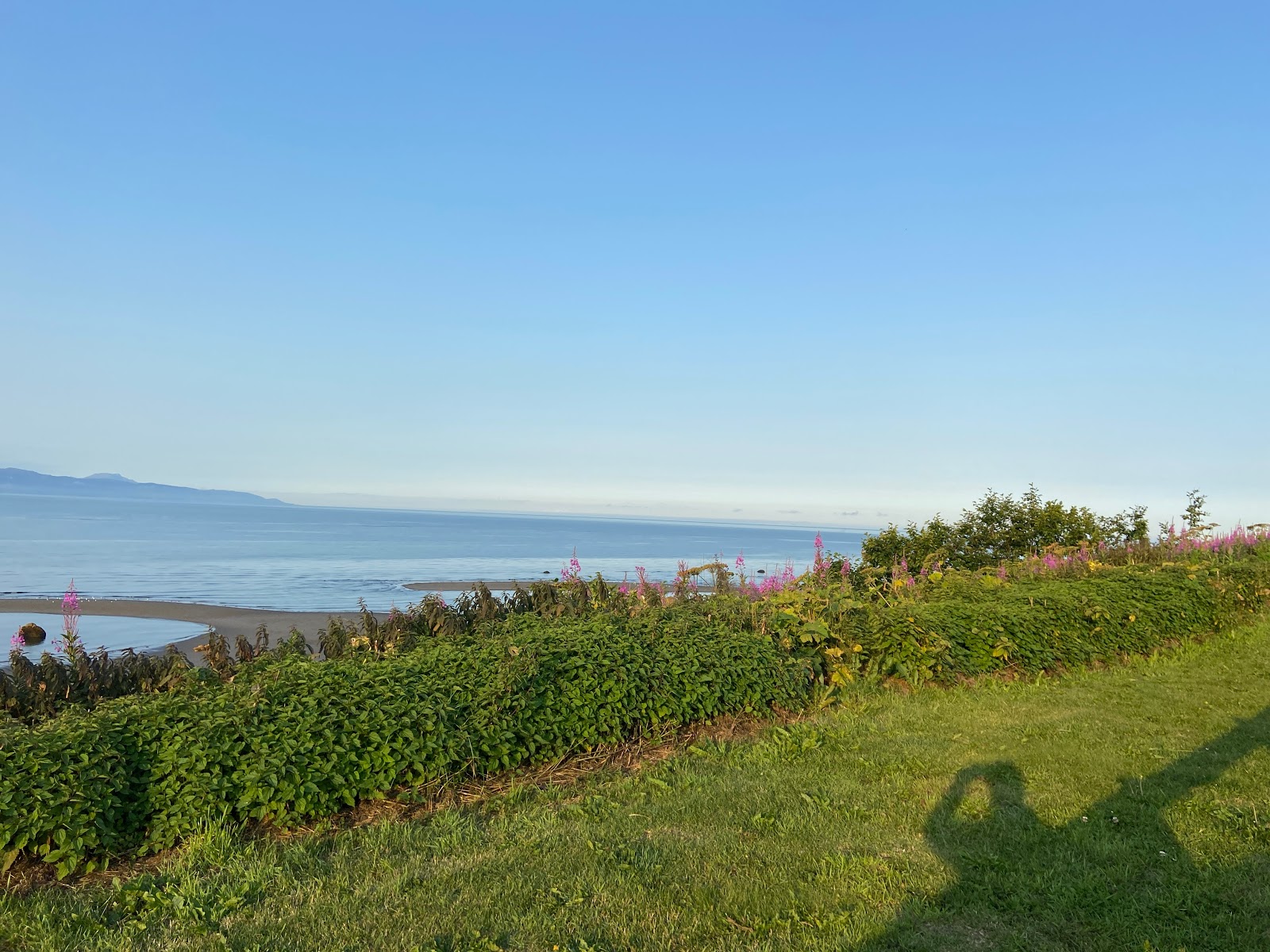 Ocean Shores RV Park in Homer with spacious sites