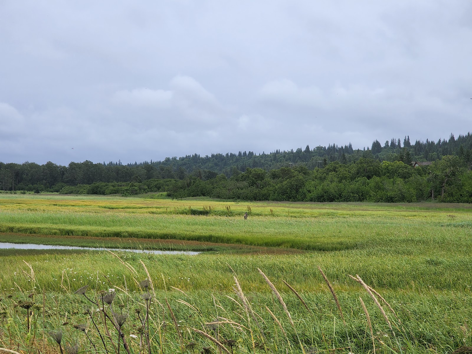 Deep Creek State Recreation Area beach camping