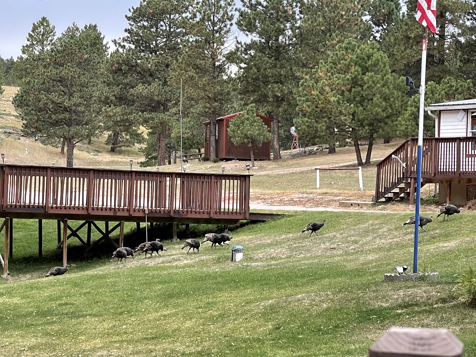 Timber Ridge Campground with scenic mountain setting