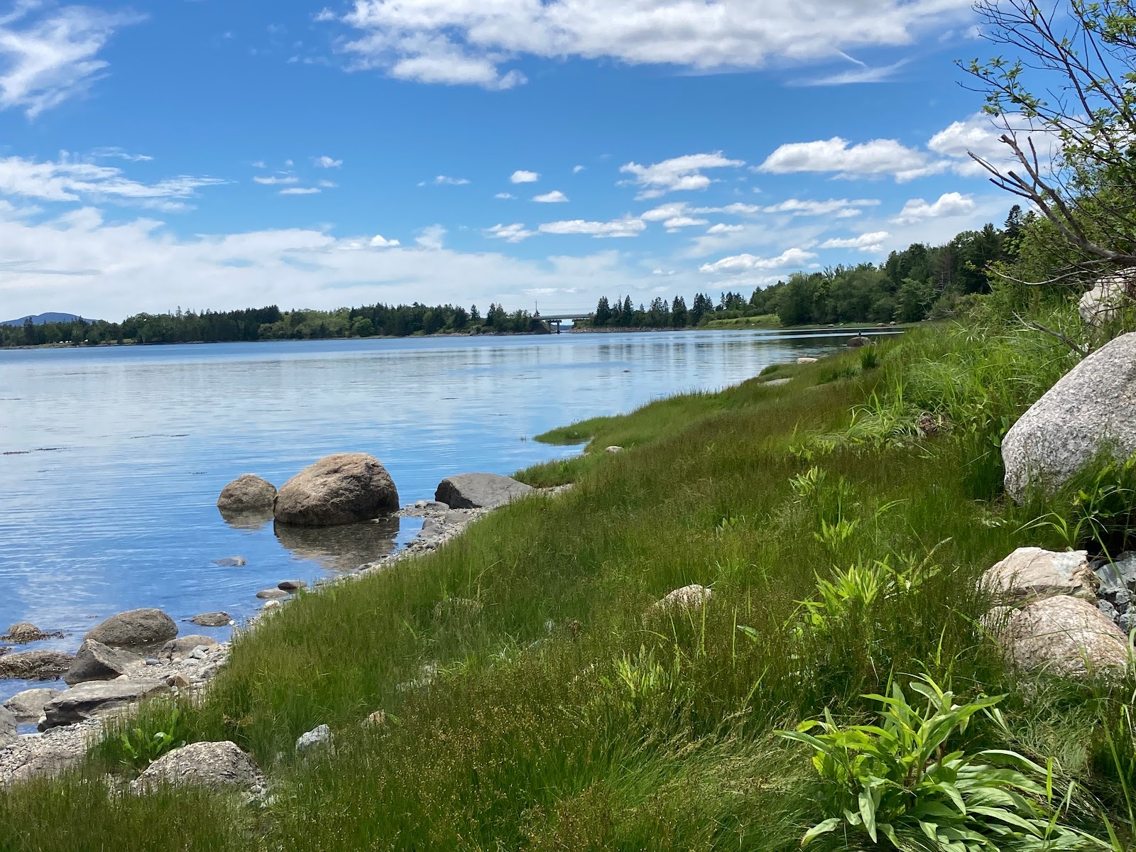 Sites de branchement complet du resort Narrows Too