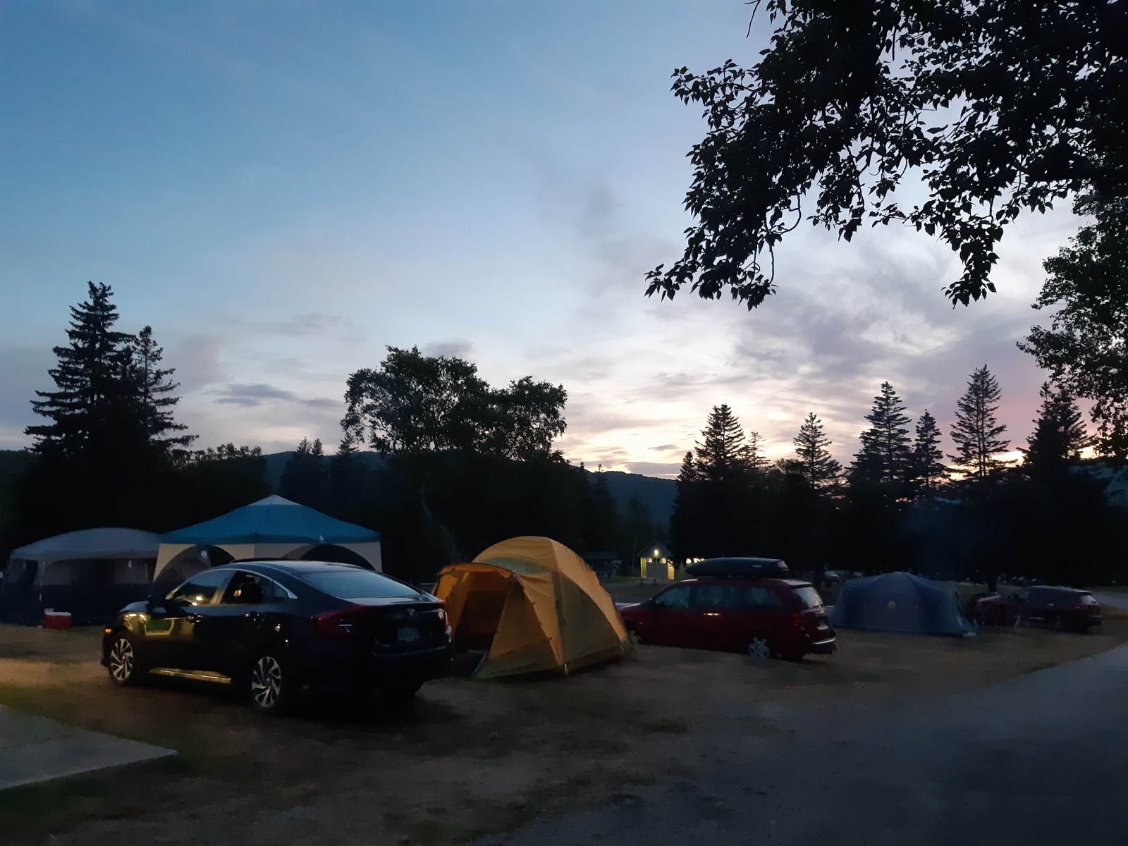 Macintosh Brook Campground forest setting