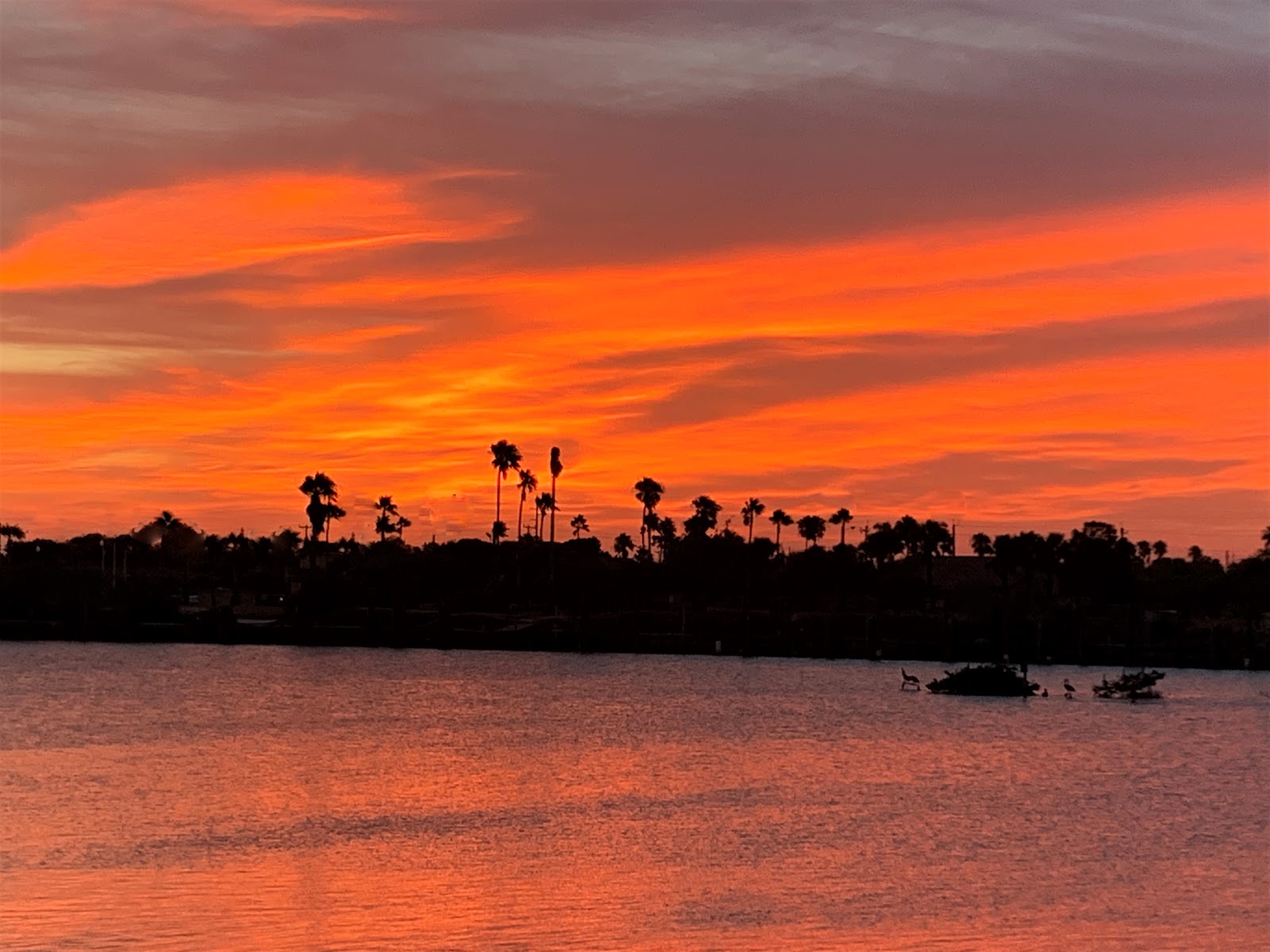 Long Island Village Rental Photos, caractéristiques et commodités