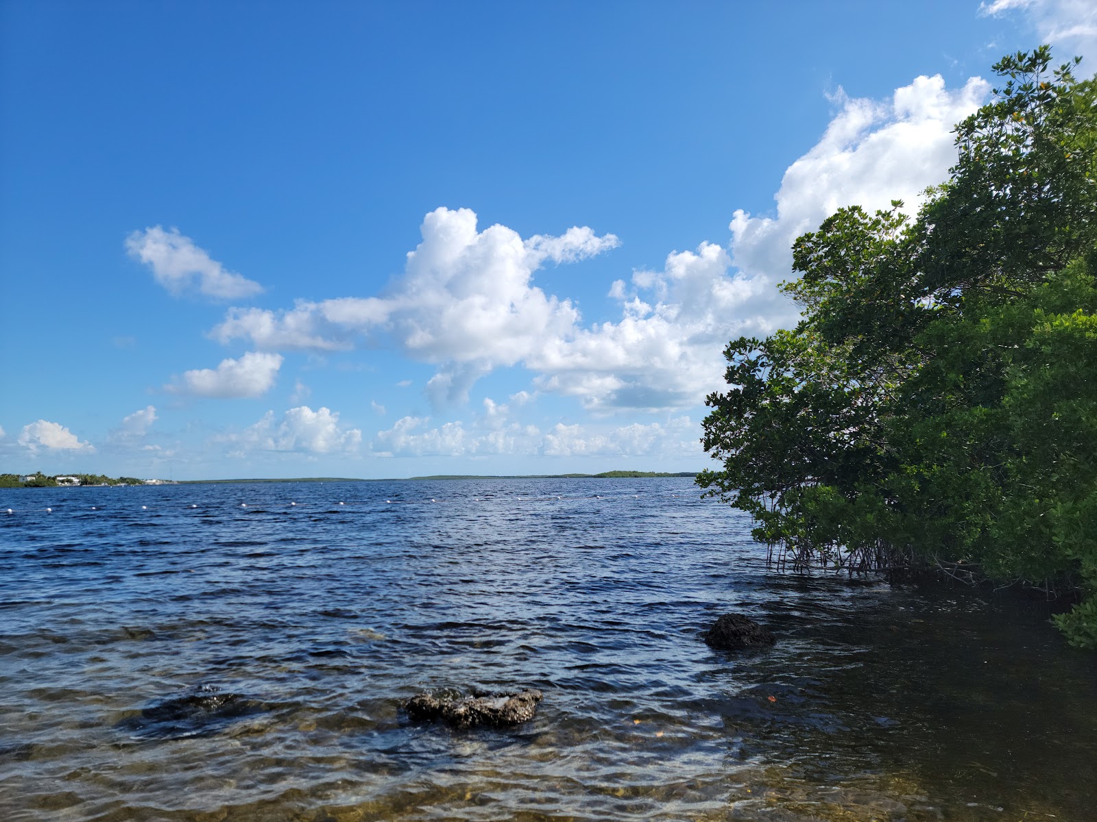 John Pennekamp Coral Reef State Park RV sites with tropical vegetation and water access for snorkeling on Key Largo