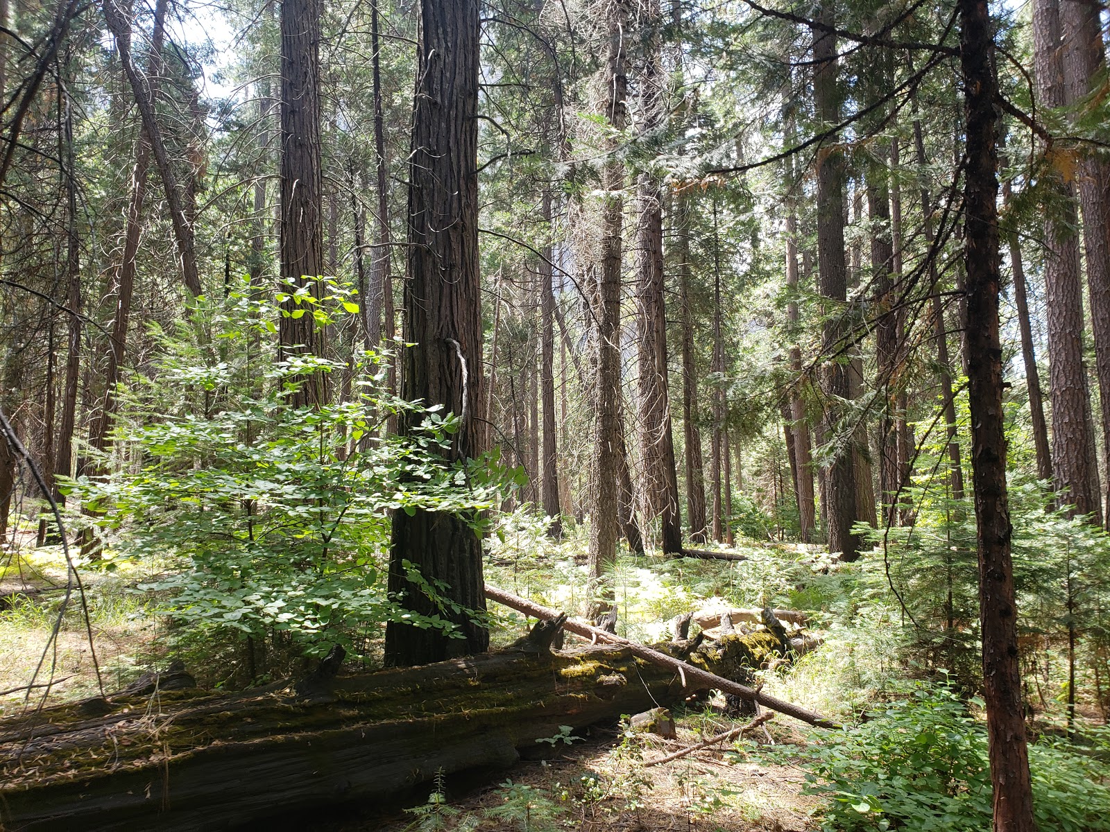 Terrain de camping Hodgdon Meadow près de l'entrée du parc