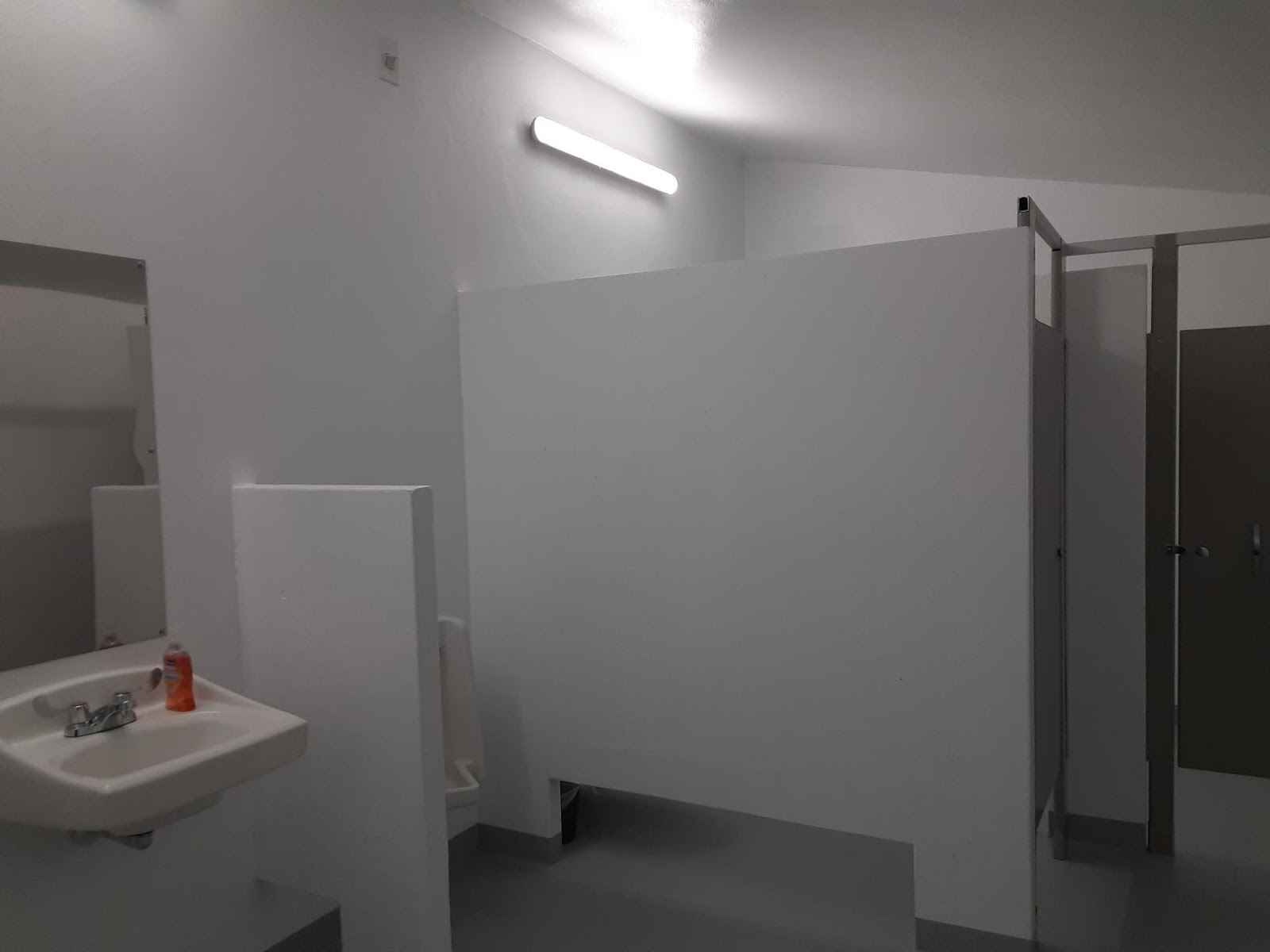 Lava Campground mountain forest setting