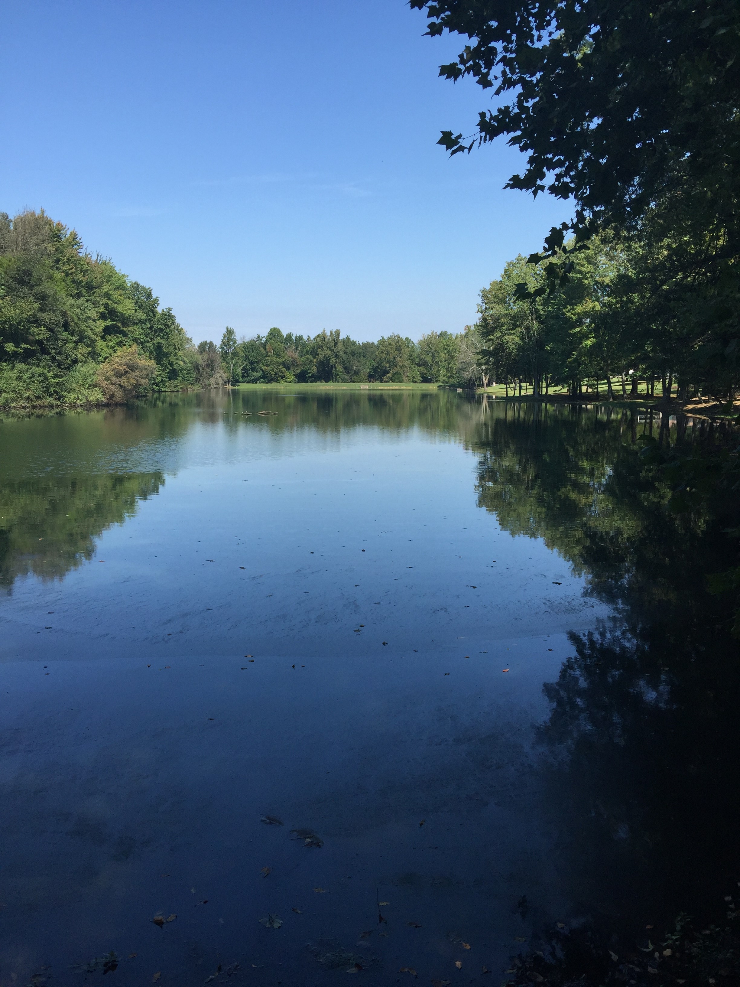 Scottsburg/Raintree Lake KOA Pictures, Features & Amenities RVezy