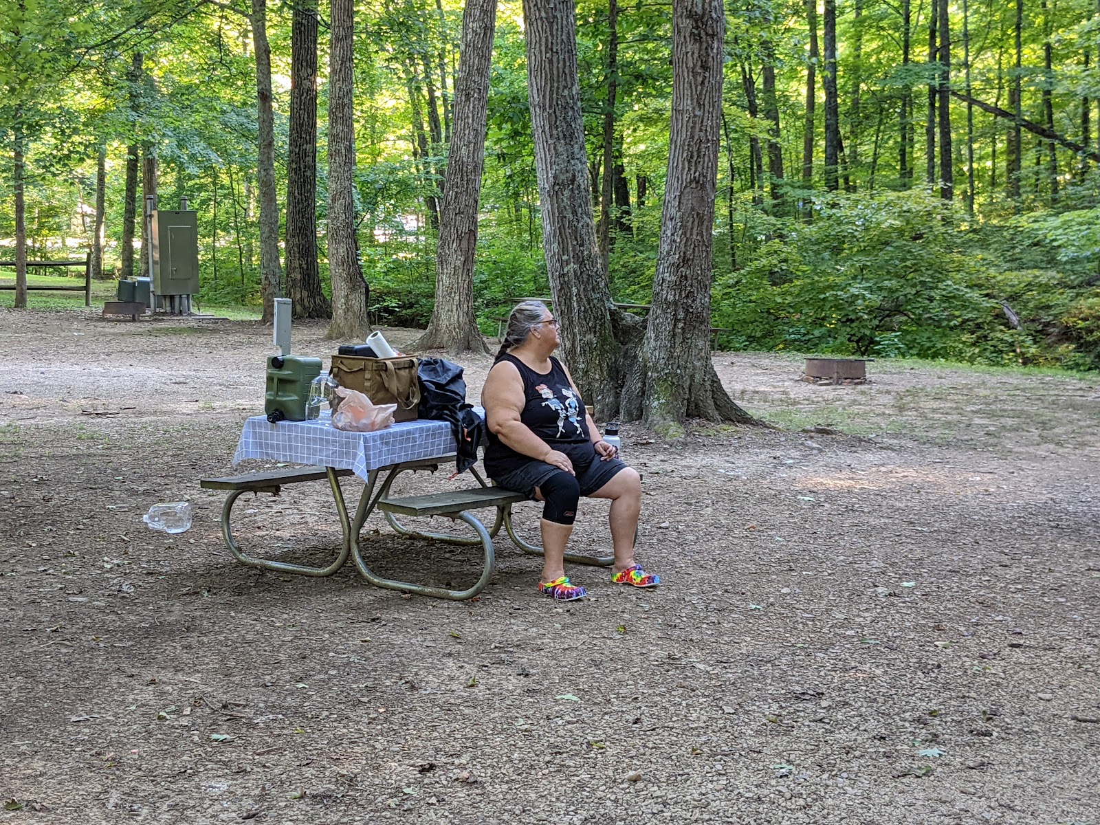 THE 10 BEST RV Rentals near Scioto Trail State Park for 2025 (From