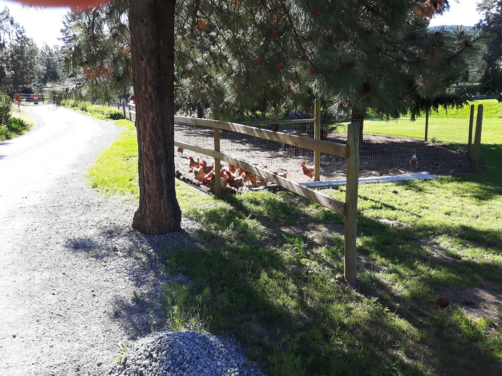 Canyon Farms RV Park Kelowna